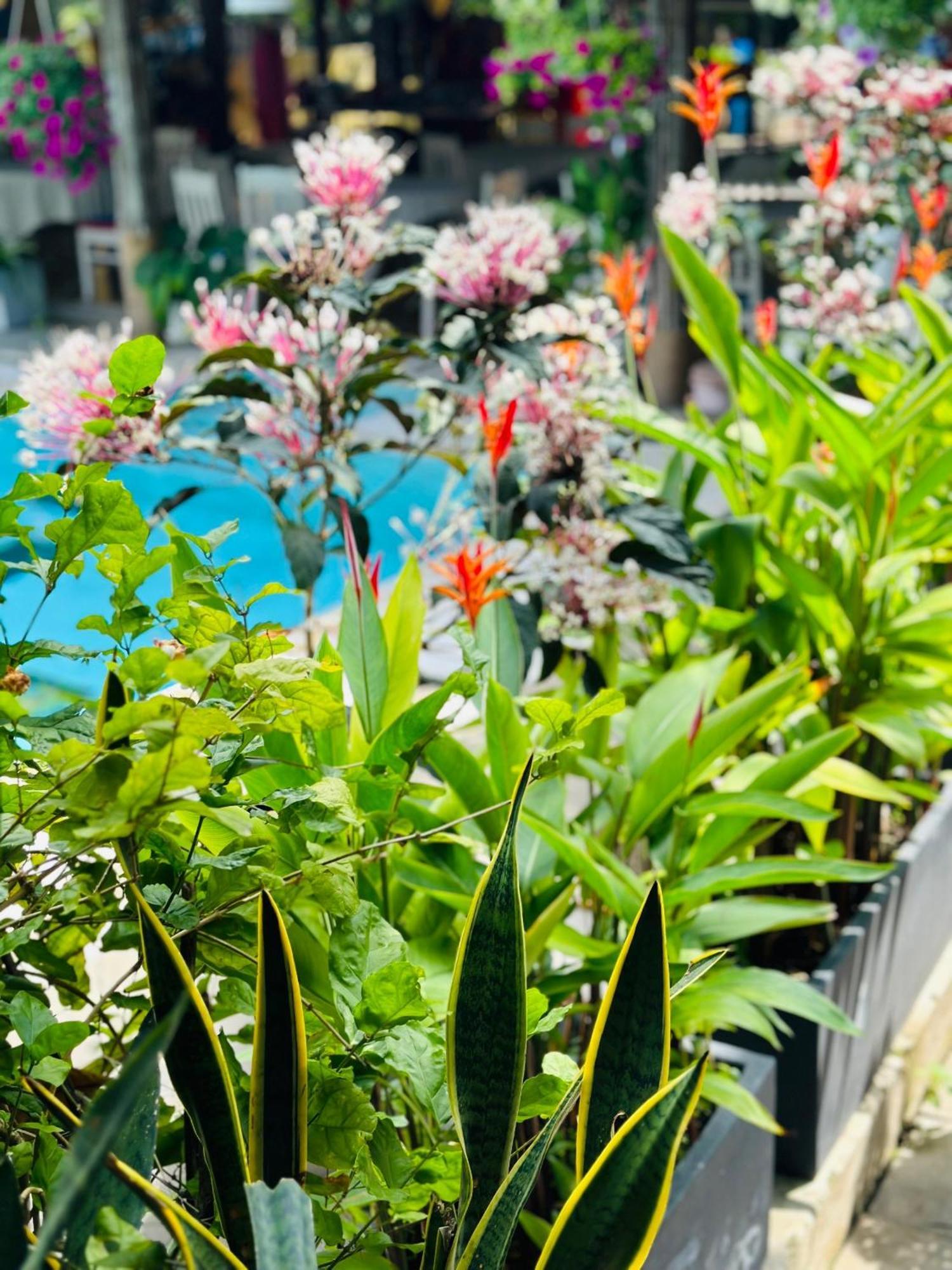 Water Palm Residence Hieu Nhon Zewnętrze zdjęcie