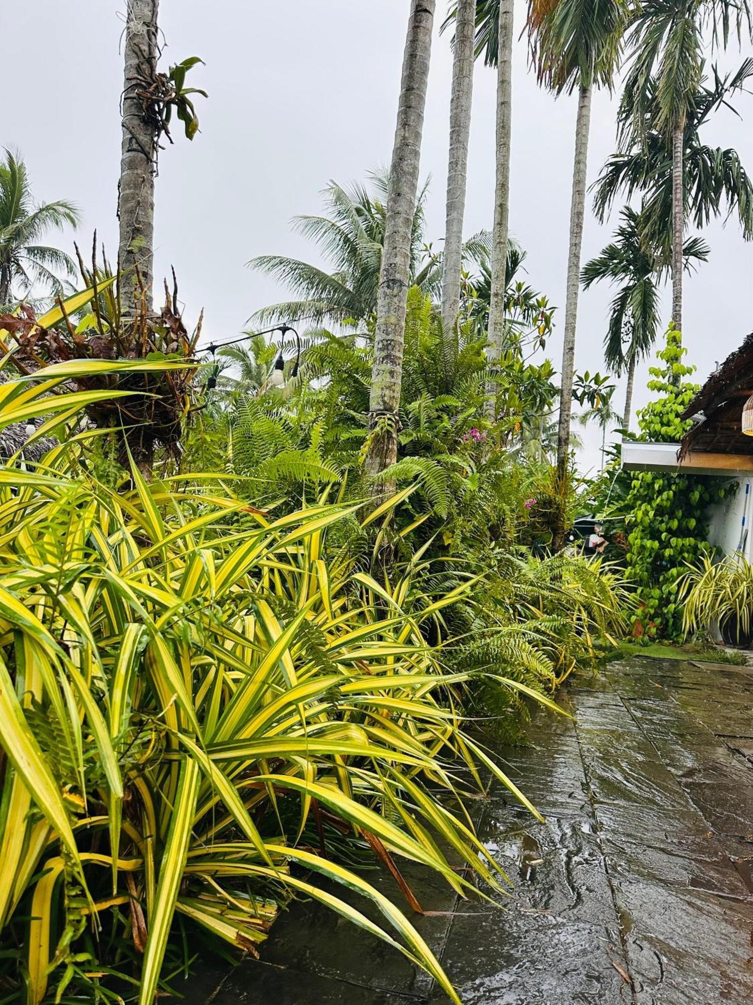 Water Palm Residence Hieu Nhon Zewnętrze zdjęcie