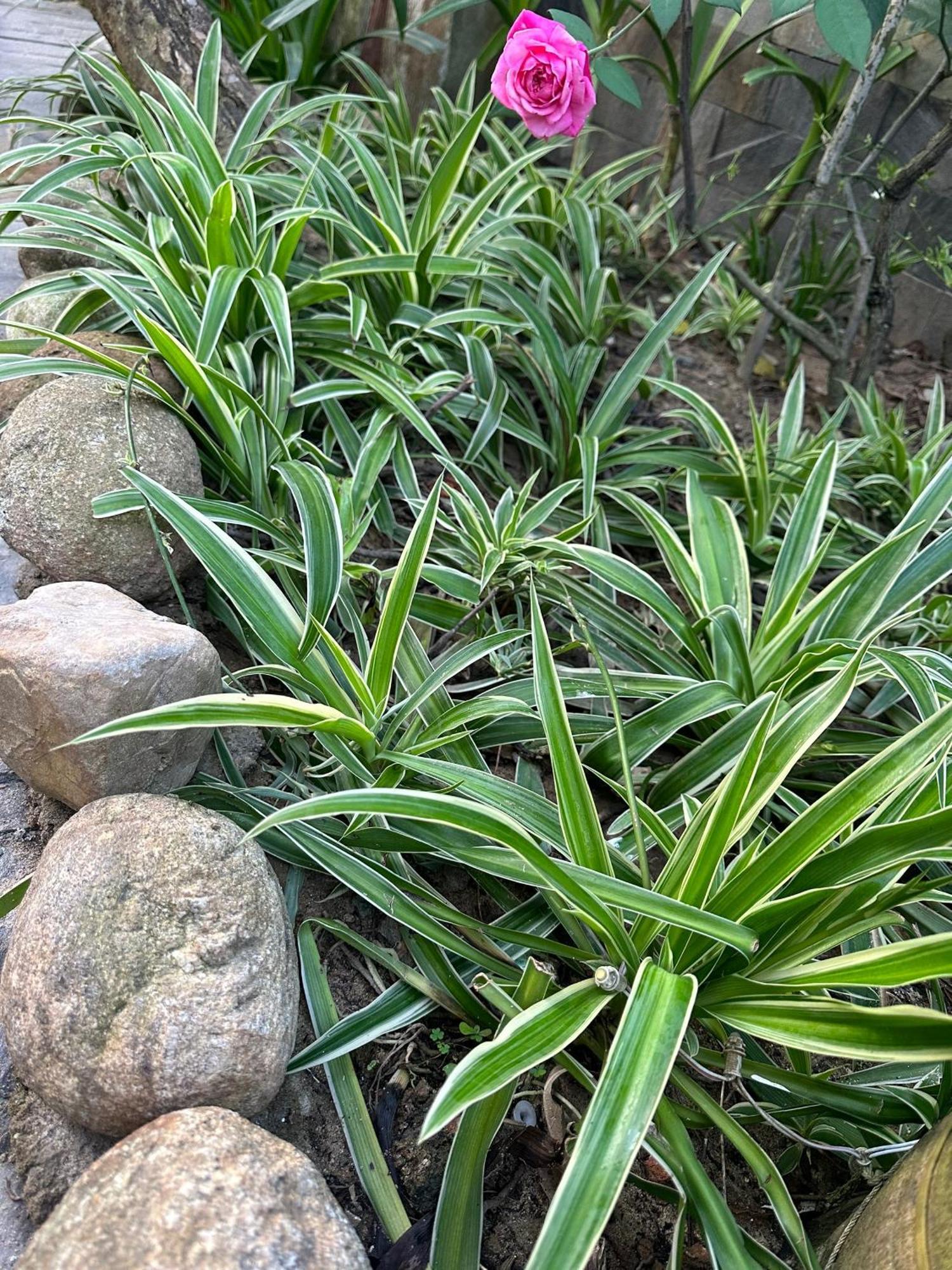 Water Palm Residence Hieu Nhon Zewnętrze zdjęcie